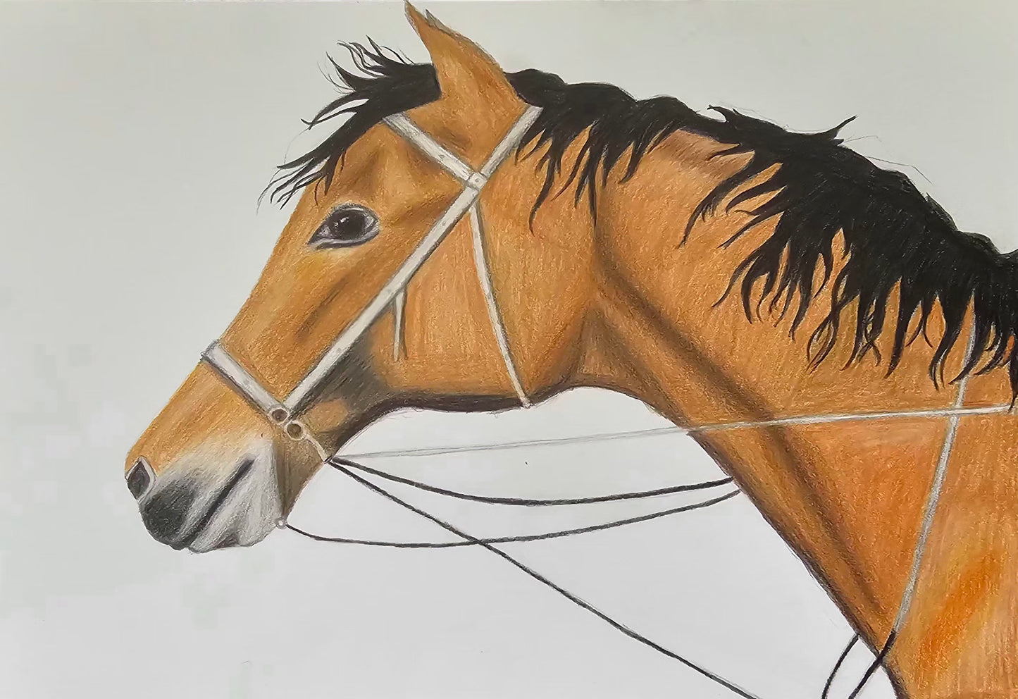 Brown Horse Art Print