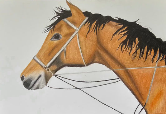 Brown Horse Original Artwork